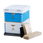 Beeforest Honeycom Box Painted beeforest.shop