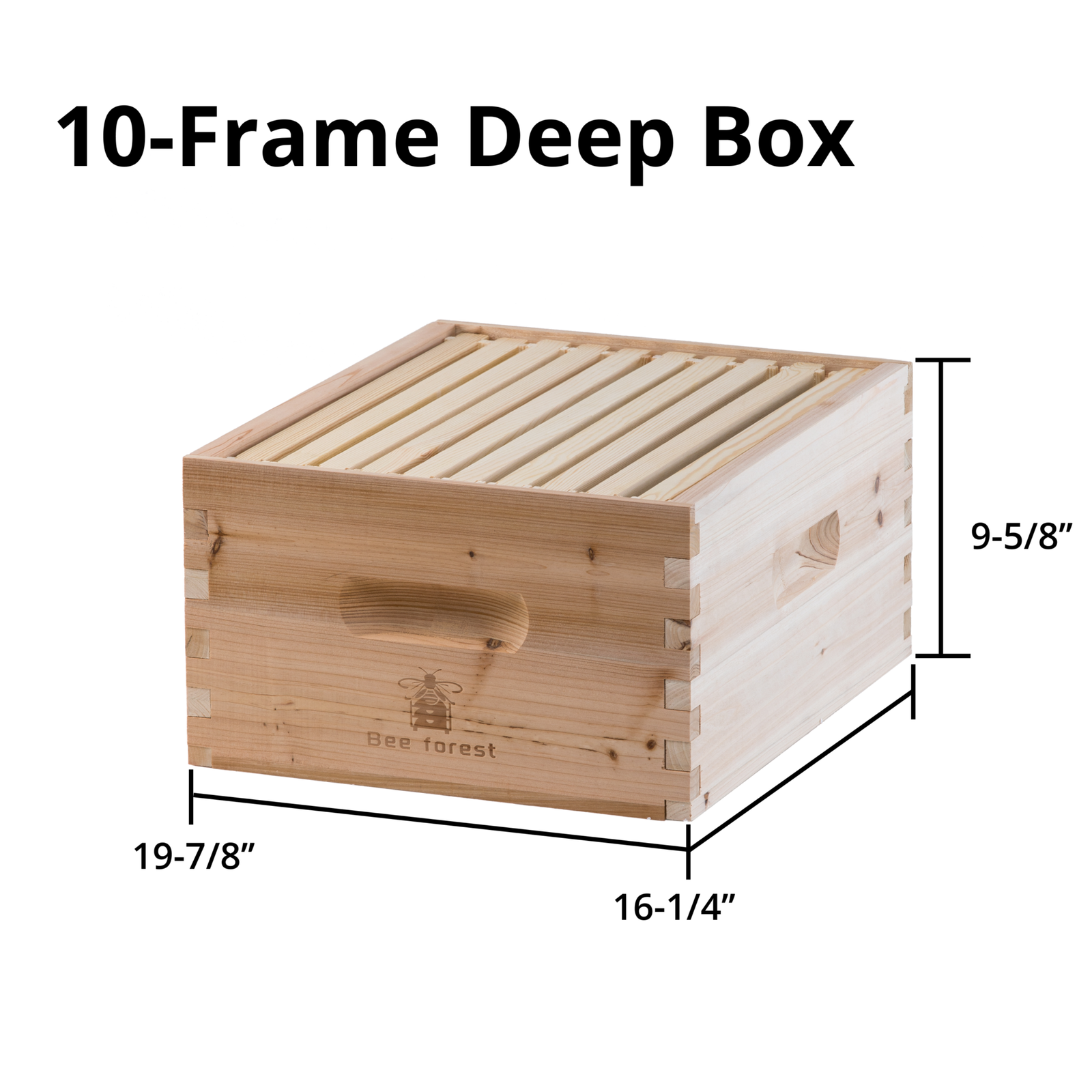 Beeforest Honeycomb Box (Log) Deep beeforest.shop