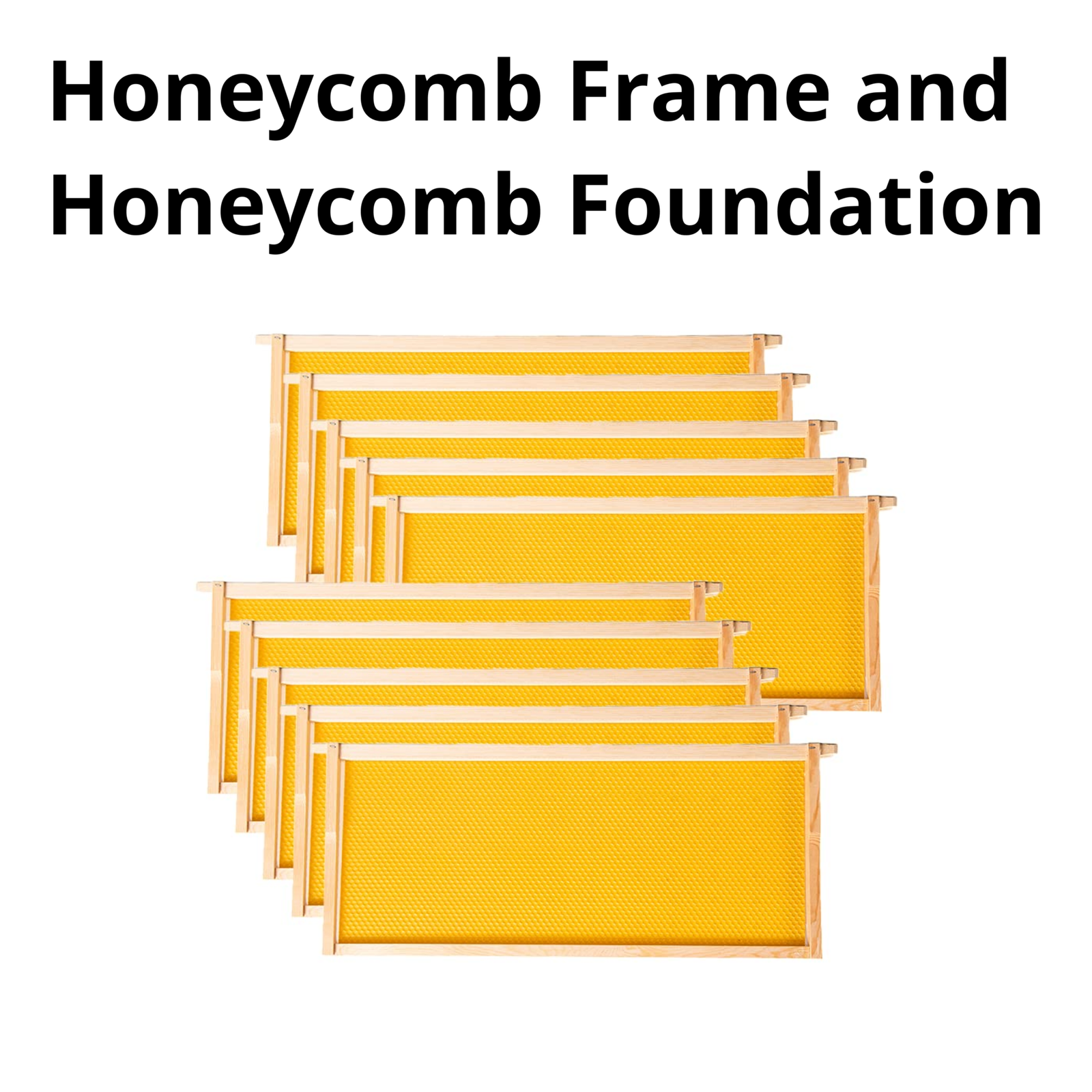 Beeforest Honeycomb Frame and Honeycomb Foundation Beeforest Honeycomb Frame and Honeycomb Foundation beeforest.shop