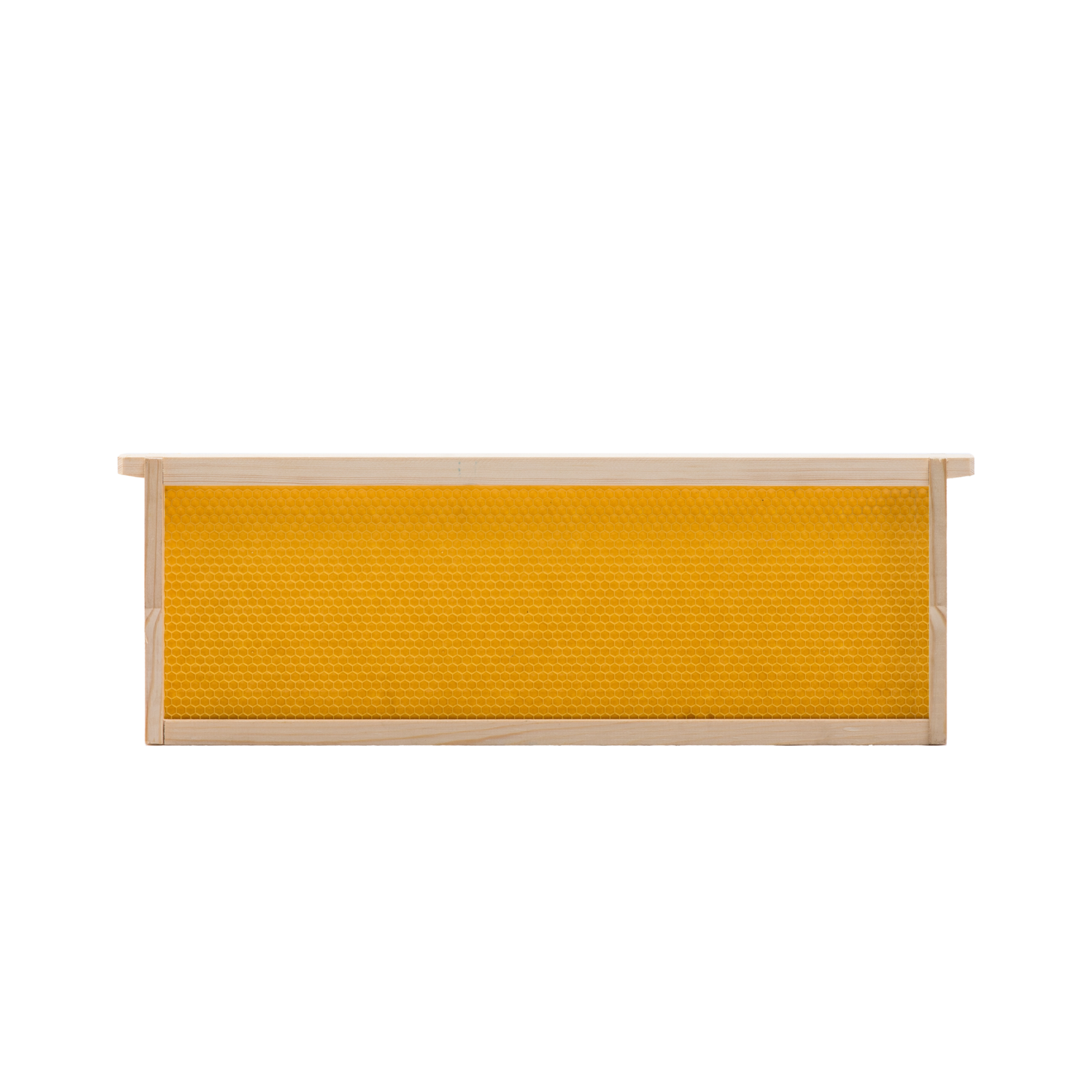 Beeforest Honeycomb Frame and Honeycomb Foundation Beeforest Honeycomb Frame and Honeycomb Foundation beeforest.shop