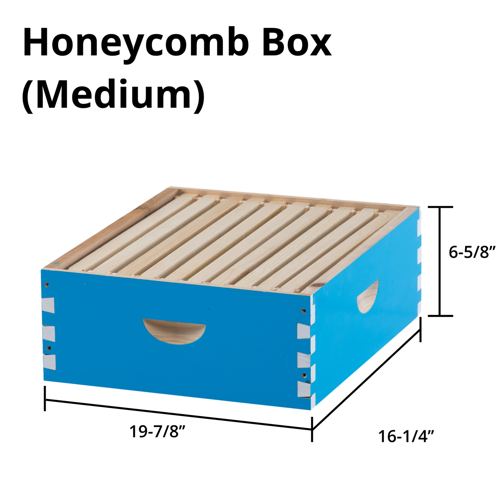 Beeforest Honeycomb Box (Medium) beeforest.shop