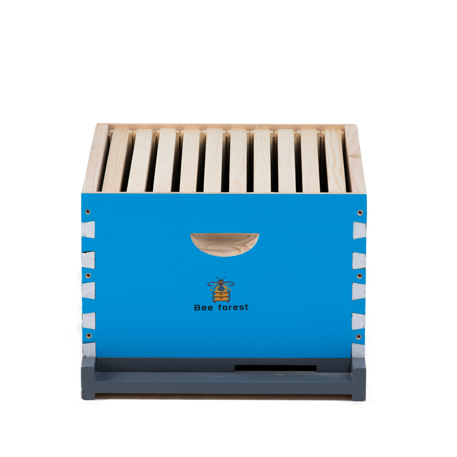 Beeforest Honeycomb Box (Medium) beeforest.shop