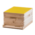 Plastic King Isolator beeforest.shop
