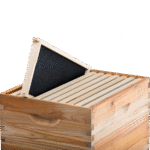 Assembled Frame and Plastic Foundation beeforest.shop