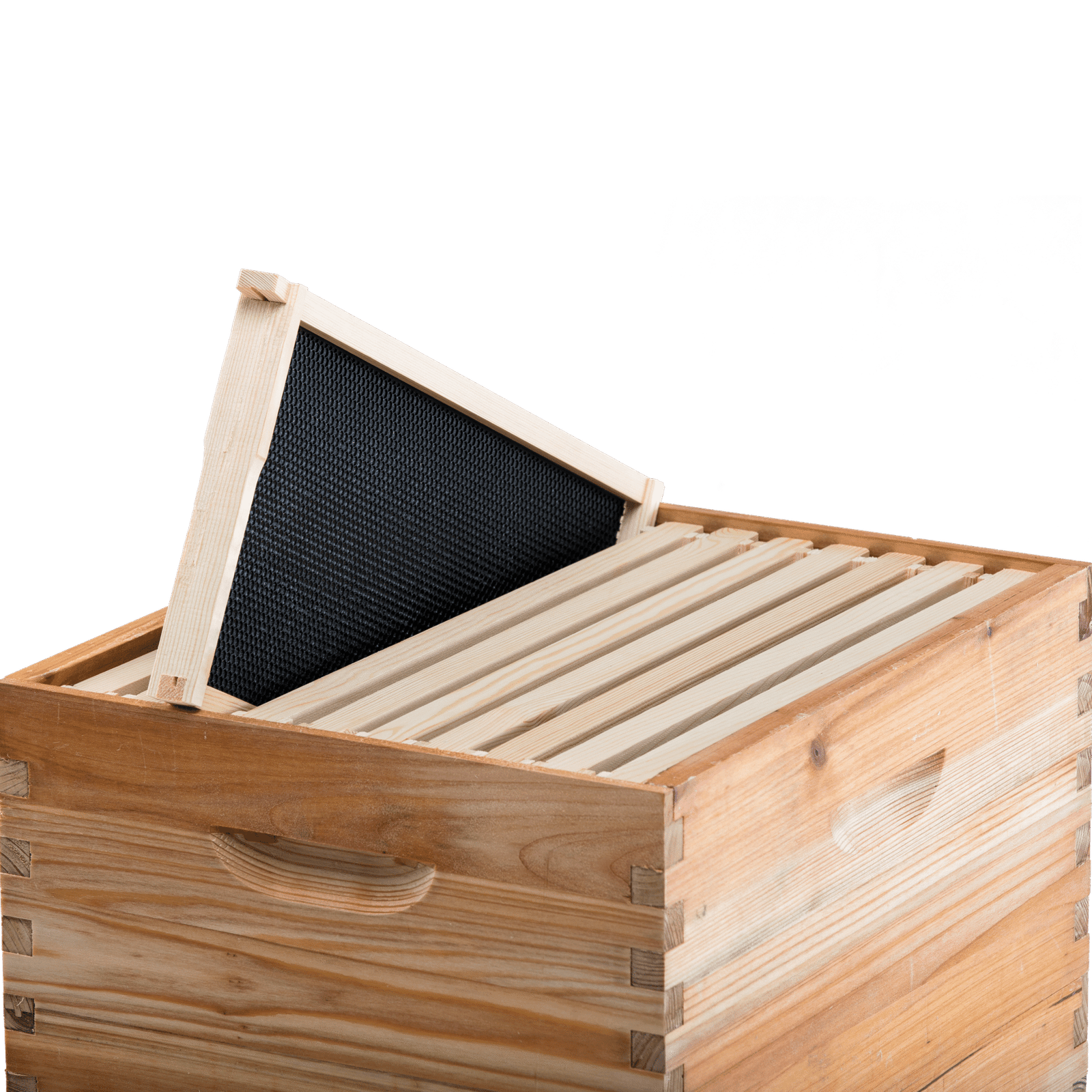 Assembled Frame and Plastic Foundation beeforest.shop