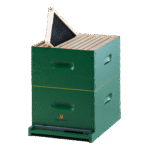 Assembled Frame and Plastic Foundation beeforest.shop