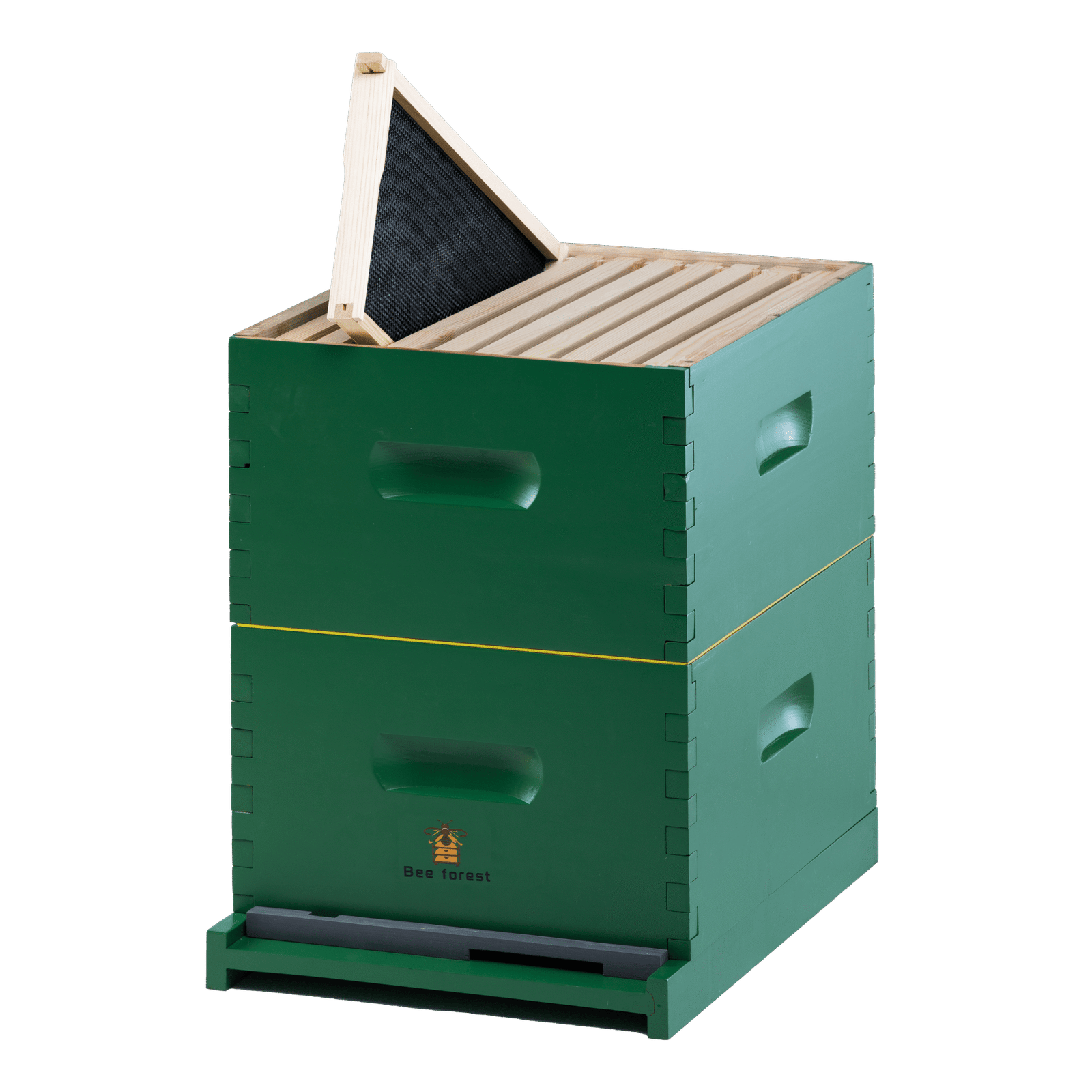 Assembled Frame and Plastic Foundation beeforest.shop