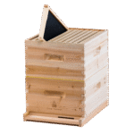 Assembled Frame and Plastic Foundation beeforest.shop