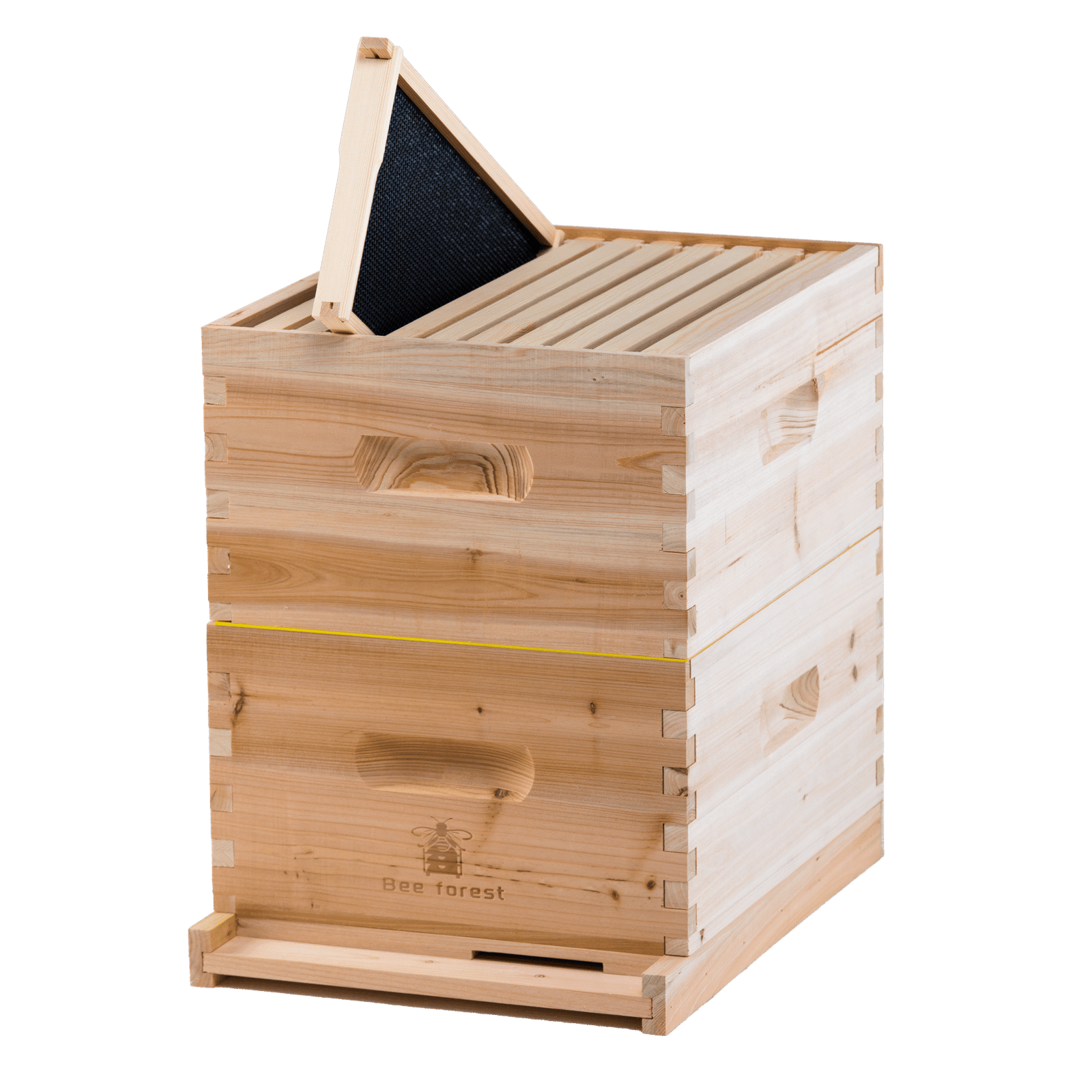 Assembled Frame and Plastic Foundation beeforest.shop